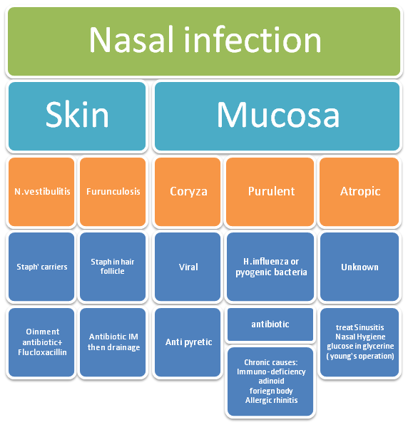n.infection